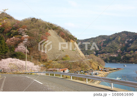 若狭 常神漁港 若狭常神 常神のソテツ 福井県若狭町 常神民宿街 若狭常神町 若狭湾 日本海 若狭 常神漁港 若狭常神 常神のソテツ 福井県若狭町 常神民宿街 若狭常神町 若狭湾 日本海 108061690