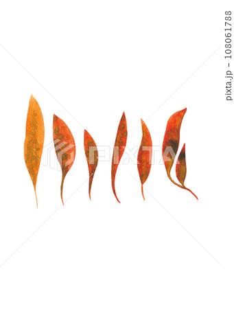 Watercolor sketches of autumn leaves. Set of orange leaves for your design Watercolor sketches of autumn leaves. Set of orange leaves for your design 108061788