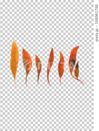 Watercolor sketches of autumn leaves. Set of orange leaves for your design Watercolor sketches of autumn leaves. Set of orange leaves for your design 108061788
