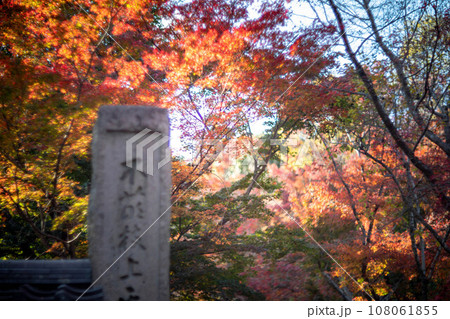 京都の秋、黄檗宗の寺・浄住寺、山門の碑文と参道の紅葉 京都の秋、黄檗宗の寺・浄住寺、山門の碑文と参道の紅葉 108061855