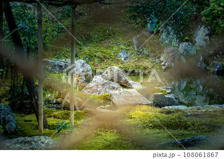 京都の秋、黄檗宗の寺・浄住寺、方丈庭園の苔床 京都の秋、黄檗宗の寺・浄住寺、方丈庭園の苔床 108061867