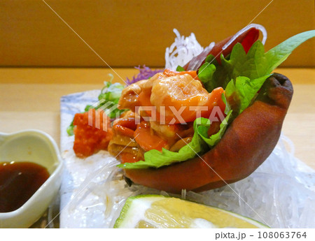 海のパイナップルと呼ばれるホヤの刺身の写真 海のパイナップルと呼ばれるホヤの刺身の写真 108063764