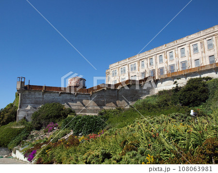 Western Gull hangs in Prisoners Garden with water tower in the distance 108063981