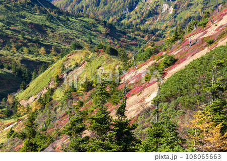 秋晴れの志賀草津高原ルート　山田峠付近の紅葉 108065663
