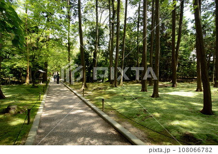 唐招提寺　鑑真和上開山御廟　参道 108066782