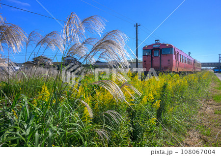 小湊鉄道　すすきのある風景 108067004