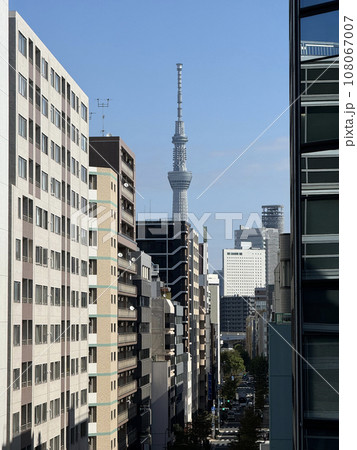 オフィス街のビルの間に臨む東京スカイツリー  108067007