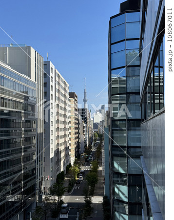 オフィス街のビルの間に臨む東京スカイツリー  108067011