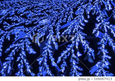 結晶　ビタミンC 108067413