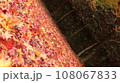 紅葉の季節 108067833