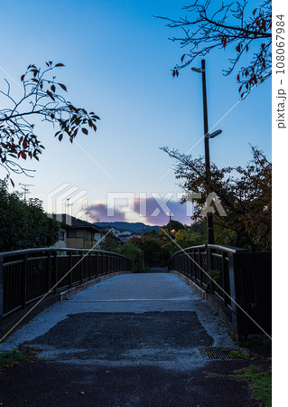 奈良市の住宅街で夜明け前から日の出まで散歩しながら撮った写真　遊歩道と遠景の若草山② 108067984