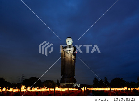 牛久大仏 万燈会 牛久大仏 万燈会 108068323