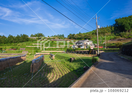富岡の棚田 初秋の原風景 富岡の棚田 初秋の原風景 108069212
