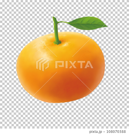 現實的橙色插圖 現實的橙色插圖 108070388