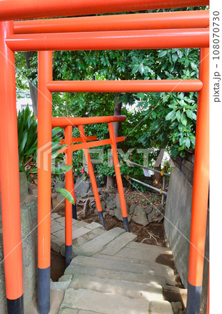 品川神社の摂社 阿那稲荷神社 上社から下社へ続く鳥居(東京都品川区北品川) 品川神社の摂社 阿那稲荷神社 上社から下社へ続く鳥居(東京都品川区北品川) 108070730