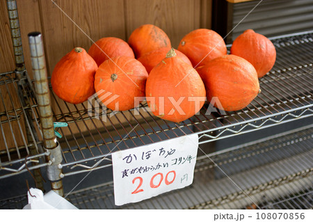 農家のカボチャ 108070856
