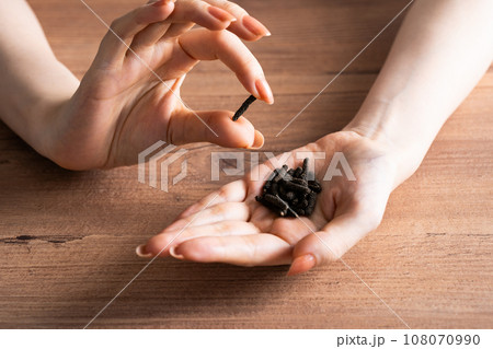 ヒハツをもつ手 108070990