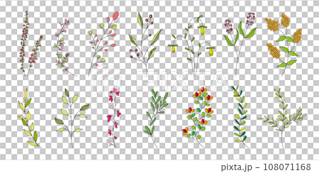 植物，色彩繽紛，美麗的植物，色彩柔和。 108071168