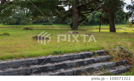 岩手県／世界遺産・無量光院跡の阿弥陀堂跡の礎石 108071322