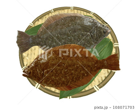 ヒラメ（下）とカレイ（上）ザル笹の葉付き 108071703