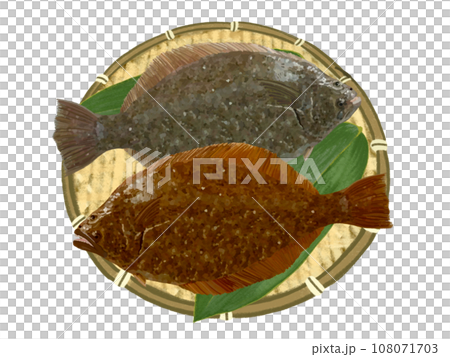 ヒラメ（下）とカレイ（上）ザル笹の葉付き 108071703