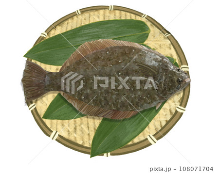 カレイ（ザル笹の葉付き） 108071704