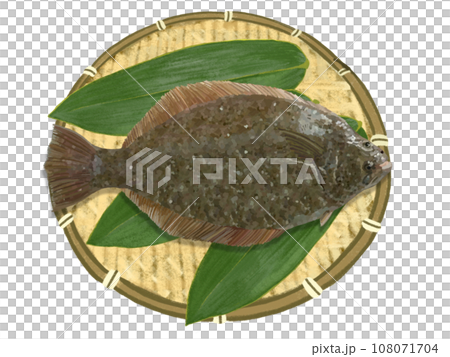 比目魚（附漏杓竹葉） 108071704