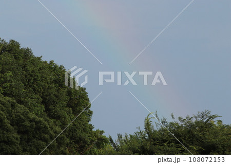 雨上がりの虹 雨上がりの虹 108072153