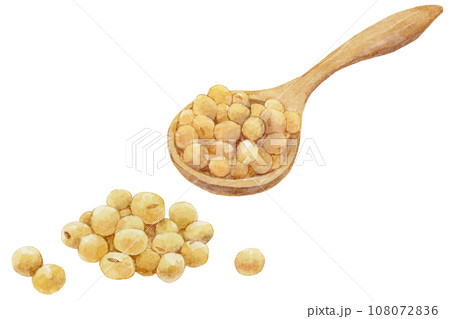 スプーンに入った大豆と大豆の山の水彩イラスト スプーンに入った大豆と大豆の山の水彩イラスト 108072836