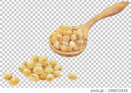 スプーンに入った大豆と大豆の山の水彩イラスト スプーンに入った大豆と大豆の山の水彩イラスト 108072836