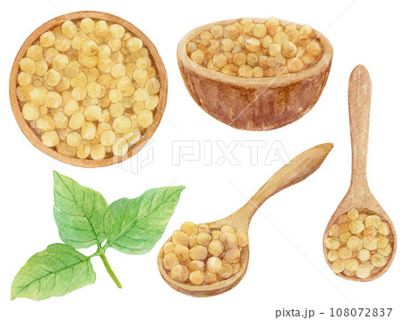 木の器と木のスプーンに入った大豆の水彩イラスト 素材集 木の器と木のスプーンに入った大豆の水彩イラスト 素材集 108072837