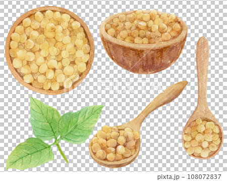 木の器と木のスプーンに入った大豆の水彩イラスト 素材集 木の器と木のスプーンに入った大豆の水彩イラスト 素材集 108072837