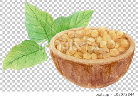 碗裡一堆大豆和大豆葉的水彩插圖 108072844