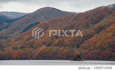 【紅葉】秋の北海道大沼国定公園 【紅葉】秋の北海道大沼国定公園 108072940