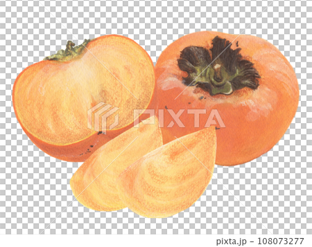 Persimmon acrylic painting illustration: persimmon fruit, cut persimmon, and peeled persimmon 108073277