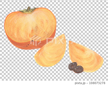 Persimmon acrylic painting illustration: persimmon cut in half, peeled persimmon, and seeds 108073278
