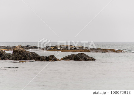 Exploring seals wildlife at the beach in the morning mist at Kejimkujik National Park Seaside, Nova Scotia, Canada 108073918