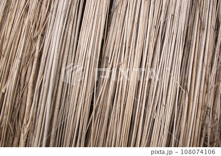 Rows and Rows of brown Jute Sticks Texture background of a field Rows and Rows of brown Jute Sticks Texture background of a field 108074106