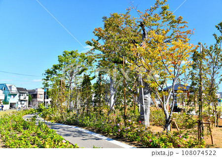 都立 練馬城址公園 花のふれあいゾーン(東京都練馬区)【2023.10】 108074522