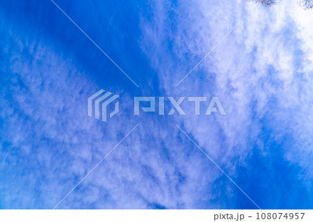 【空素材】青空とうろこ雲【長野県】 108074957