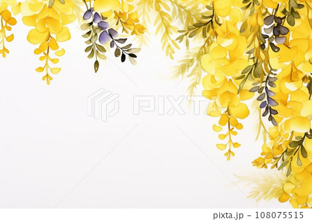 Watercolor yellow wisteria, frame on white background with copy space 108075515