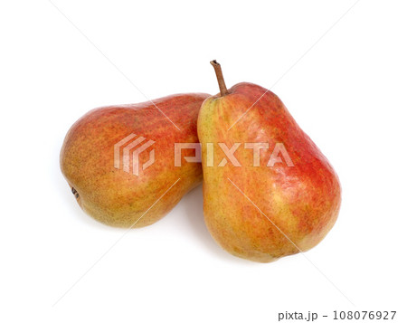 洋梨 バートレット 洋梨 バートレット 108076927