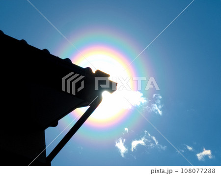 花粉光環 108077288