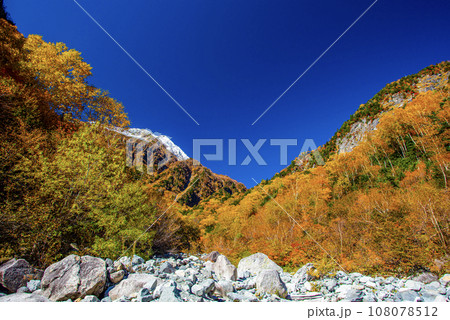 涸沢の色ずくナナカマド 108078512