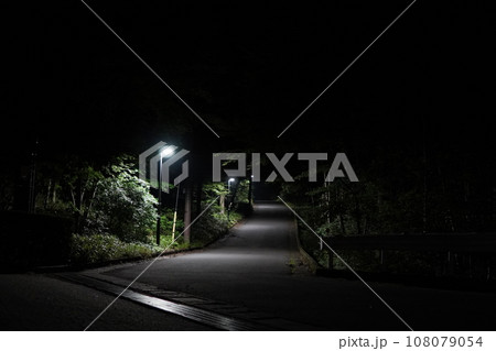 真夜中の八ヶ岳高原遊歩道 108079054