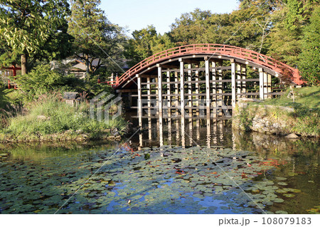 秋の丹生都比売神社 108079183