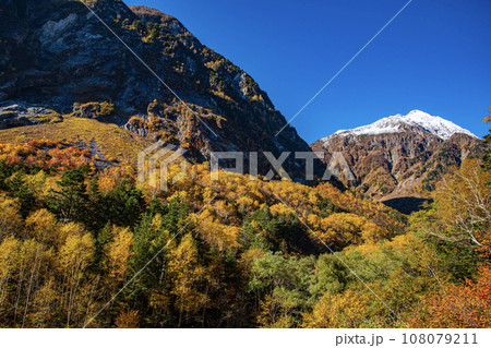 パノラマコースからの紅葉の涸沢 108079211