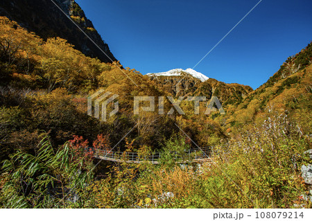 涸沢の紅葉に包まれた本谷橋 涸沢の紅葉に包まれた本谷橋 108079214