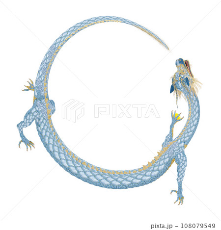 リアルな龍のイラスト 108079549
