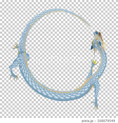 リアルな龍のイラスト 108079549